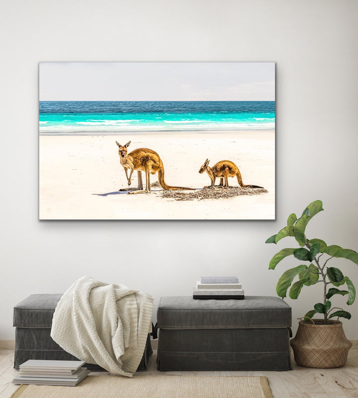 Kangaroo Beach - Photographic Beach Coastal Canvas and Art Print I Heart Wall Art Australia 