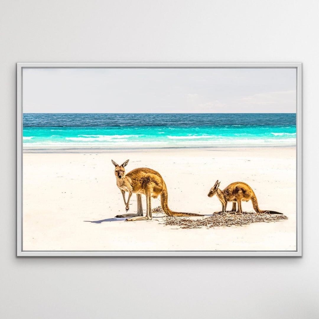 Kangaroo Beach - Photographic Beach Coastal Canvas and Art Print I Heart Wall Art Australia 