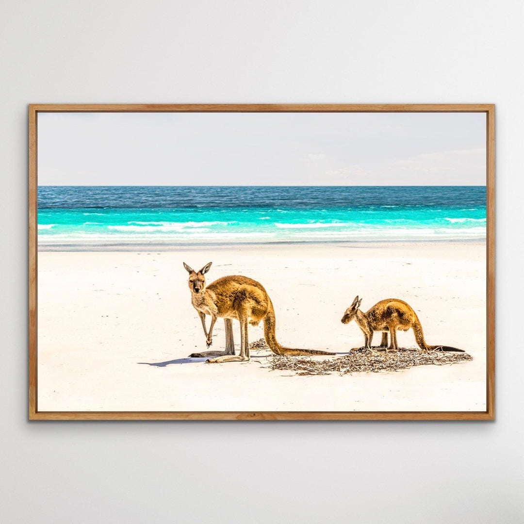Kangaroo Beach - Photographic Beach Coastal Canvas and Art Print I Heart Wall Art Australia 