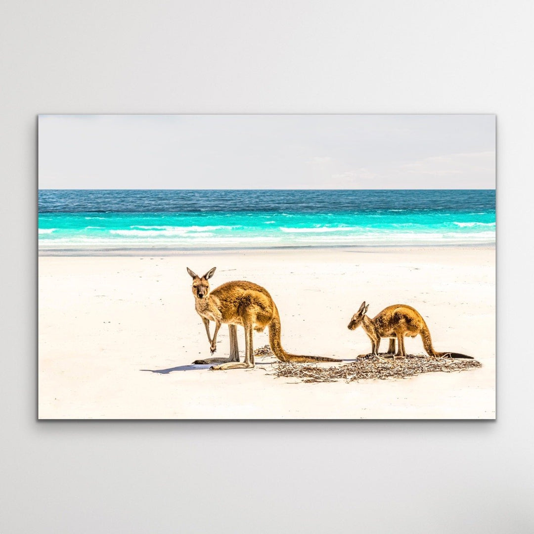 Kangaroo Beach - Photographic Beach Coastal Canvas and Art Print I Heart Wall Art Australia 