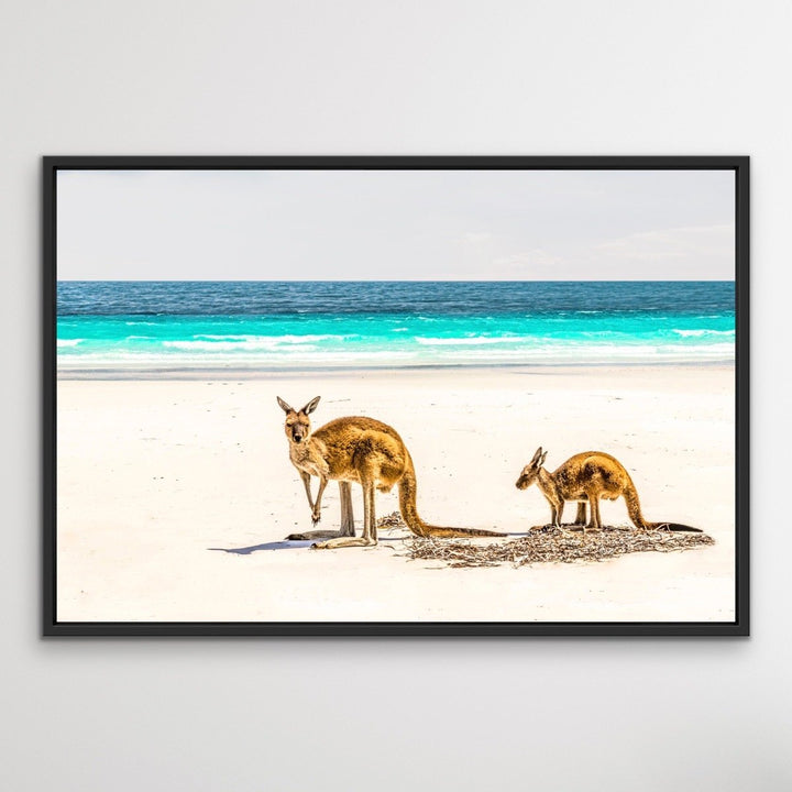 Kangaroo Beach - Photographic Beach Coastal Canvas and Art Print I Heart Wall Art Australia 
