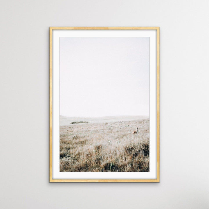 Kangaroo Wild - Australian County Photographic Landscape Art Print - I Heart Wall Art