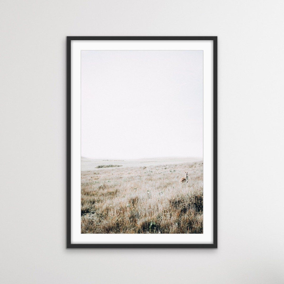 Kangaroo Wild - Australian County Photographic Landscape Art Print - I Heart Wall Art