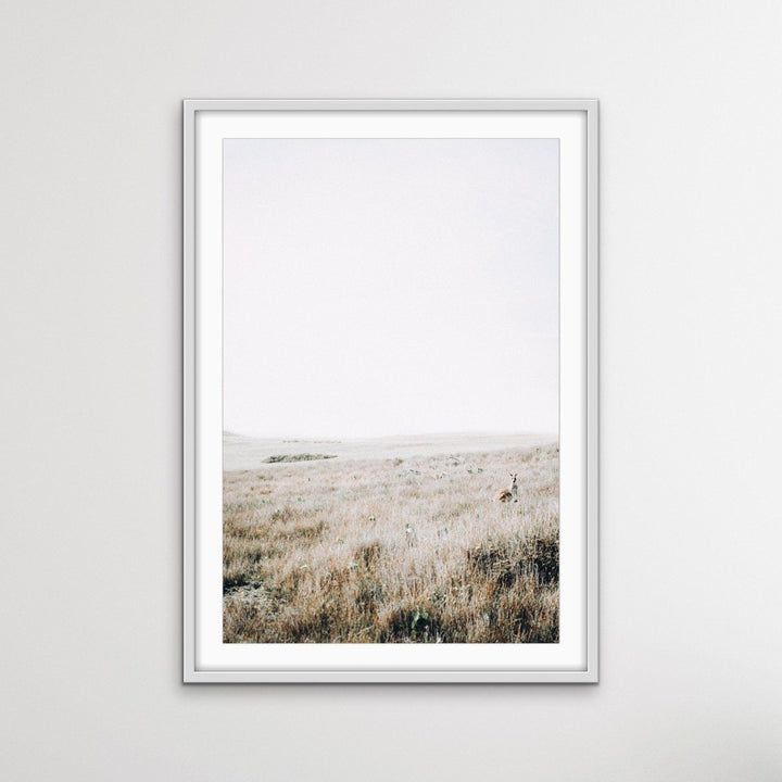 Kangaroo Wild - Australian County Photographic Landscape Art Print - I Heart Wall Art