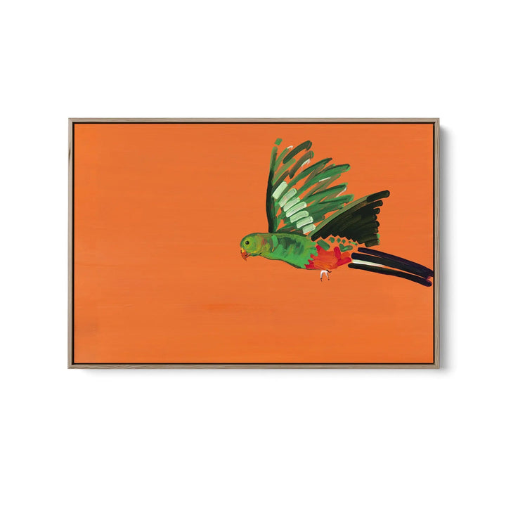 King Parrot by Lucy Hawkins - Stretched Canvas Print or Framed Fine Art Print - Artwork I Heart Wall Art Australia 