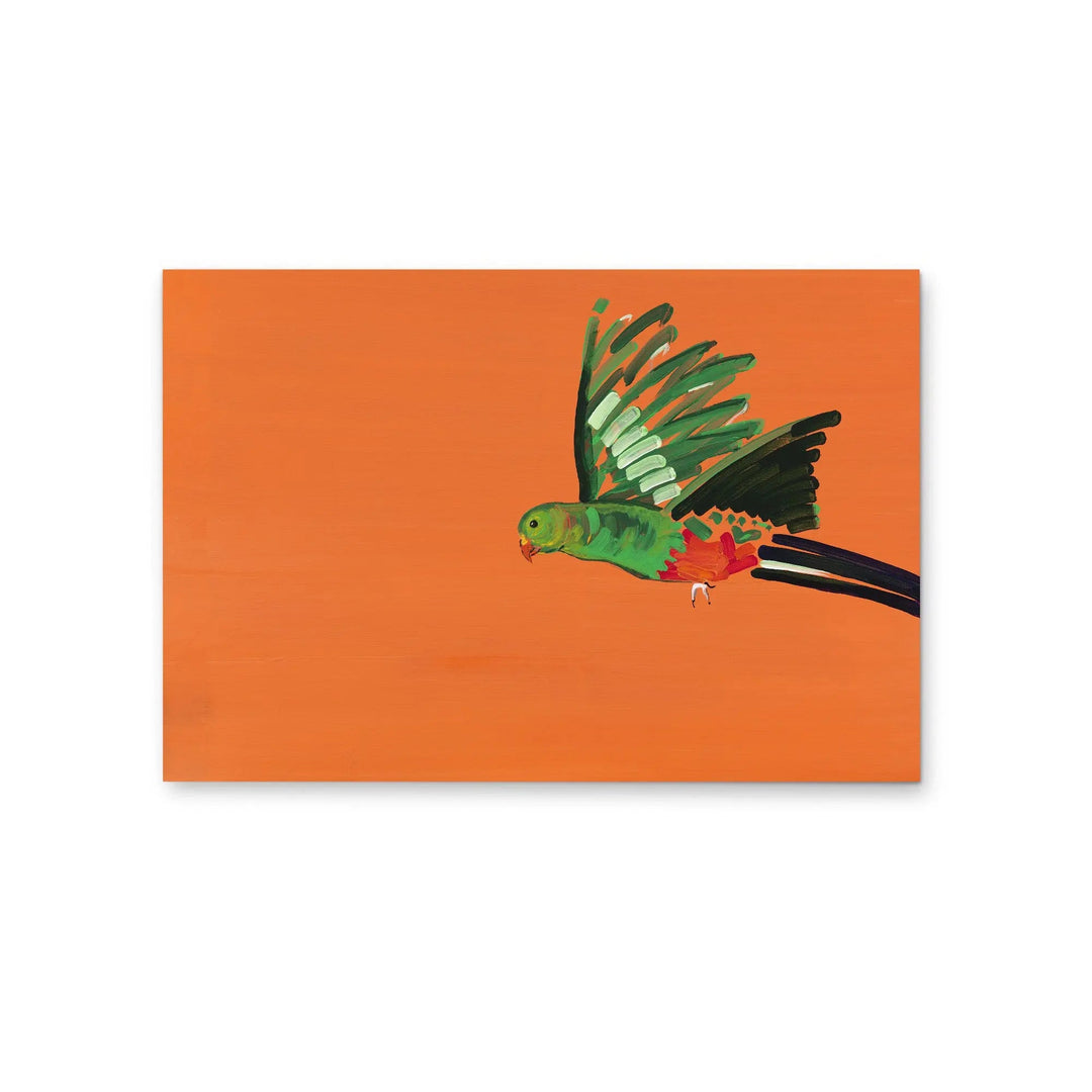 King Parrot by Lucy Hawkins - Stretched Canvas Print or Framed Fine Art Print - Artwork I Heart Wall Art Australia 