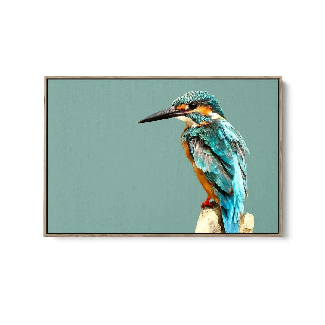 Kingfisher - Turquoise Australian Bird Canvas And Art Print - I Heart Wall Art - Poster Print, Canvas Print or Framed Art Print