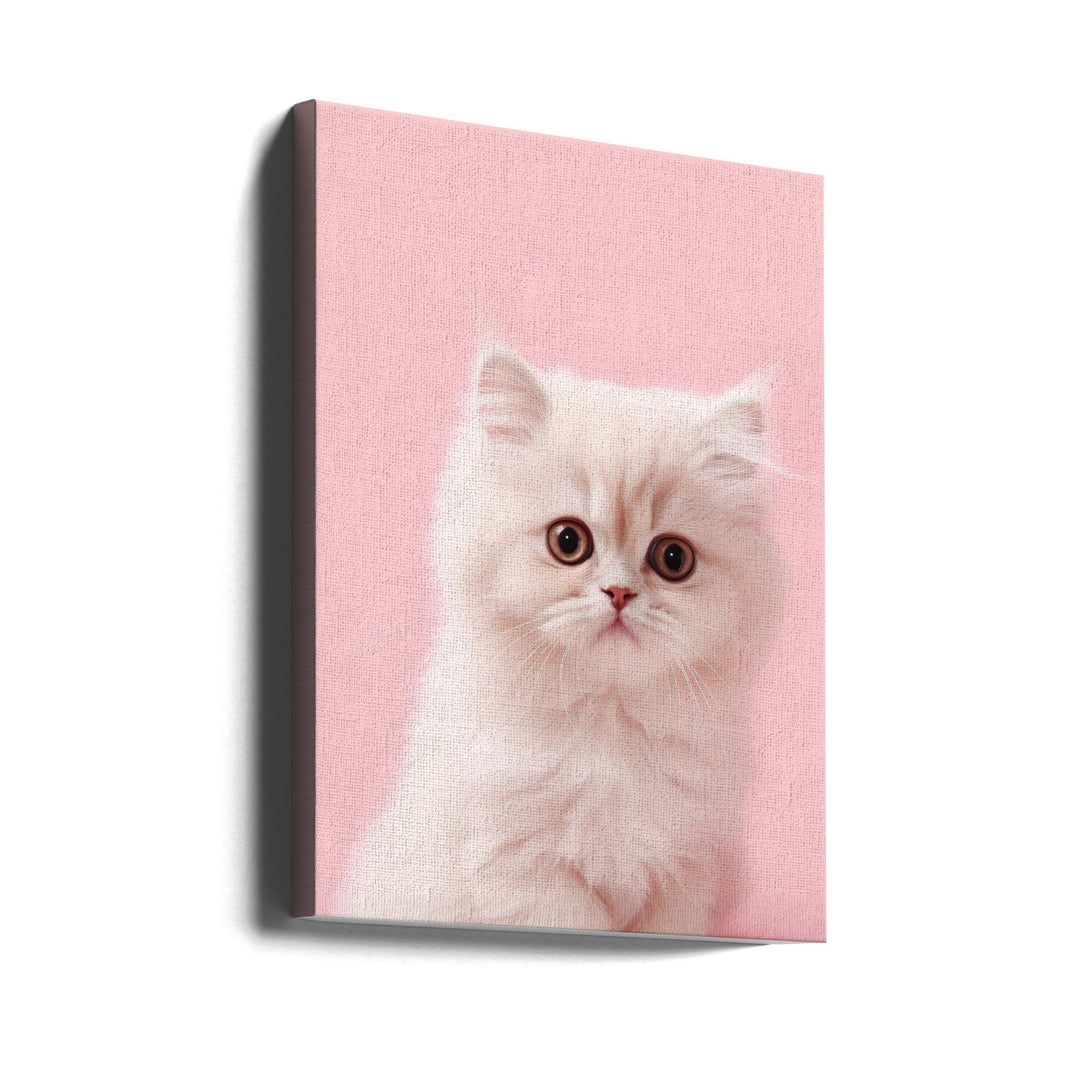 Kitty 4 - Stretched Canvas, Poster or Fine Art Print I Heart Wall Art