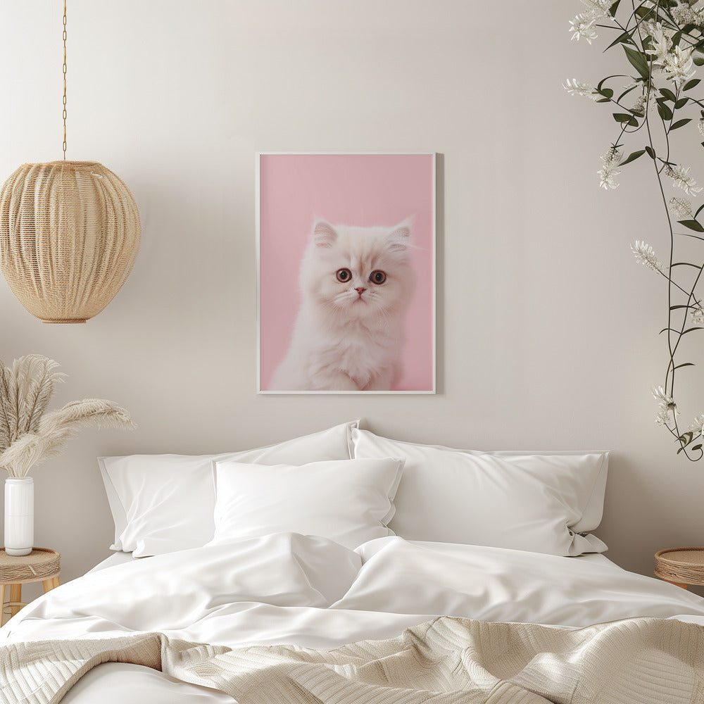 Kitty 4 - Stretched Canvas, Poster or Fine Art Print I Heart Wall Art
