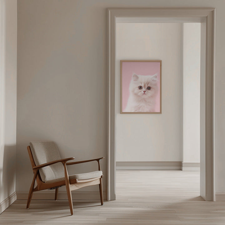 Kitty 4 - Stretched Canvas, Poster or Fine Art Print I Heart Wall Art