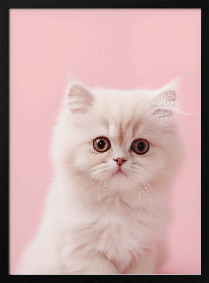 Kitty 4 - Stretched Canvas, Poster or Fine Art Print I Heart Wall Art