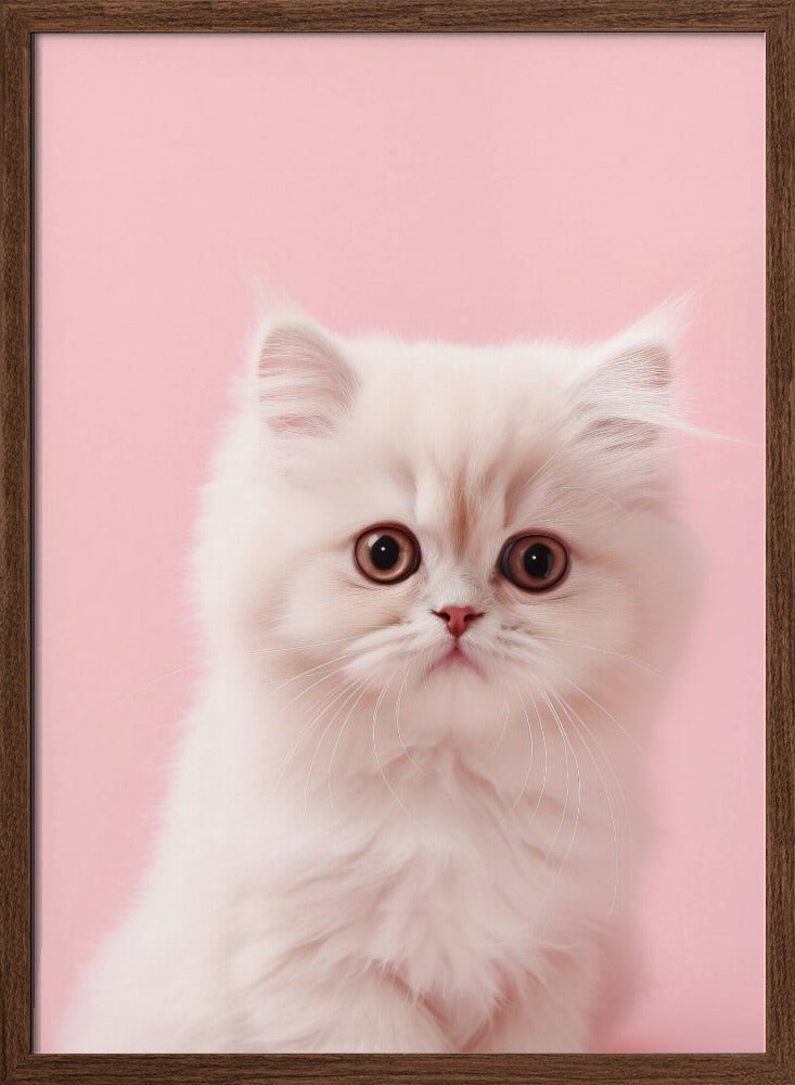 Kitty 4 - Stretched Canvas, Poster or Fine Art Print I Heart Wall Art