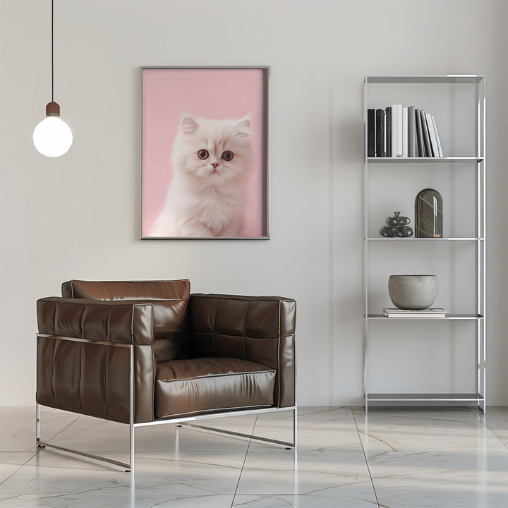 Kitty 4 - Stretched Canvas, Poster or Fine Art Print I Heart Wall Art