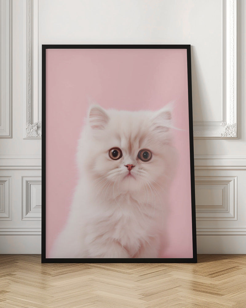 Kitty 4 - Stretched Canvas, Poster or Fine Art Print I Heart Wall Art