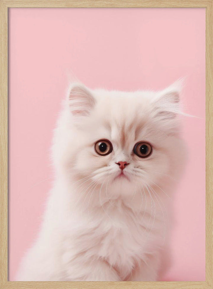 Kitty 4 - Stretched Canvas, Poster or Fine Art Print I Heart Wall Art
