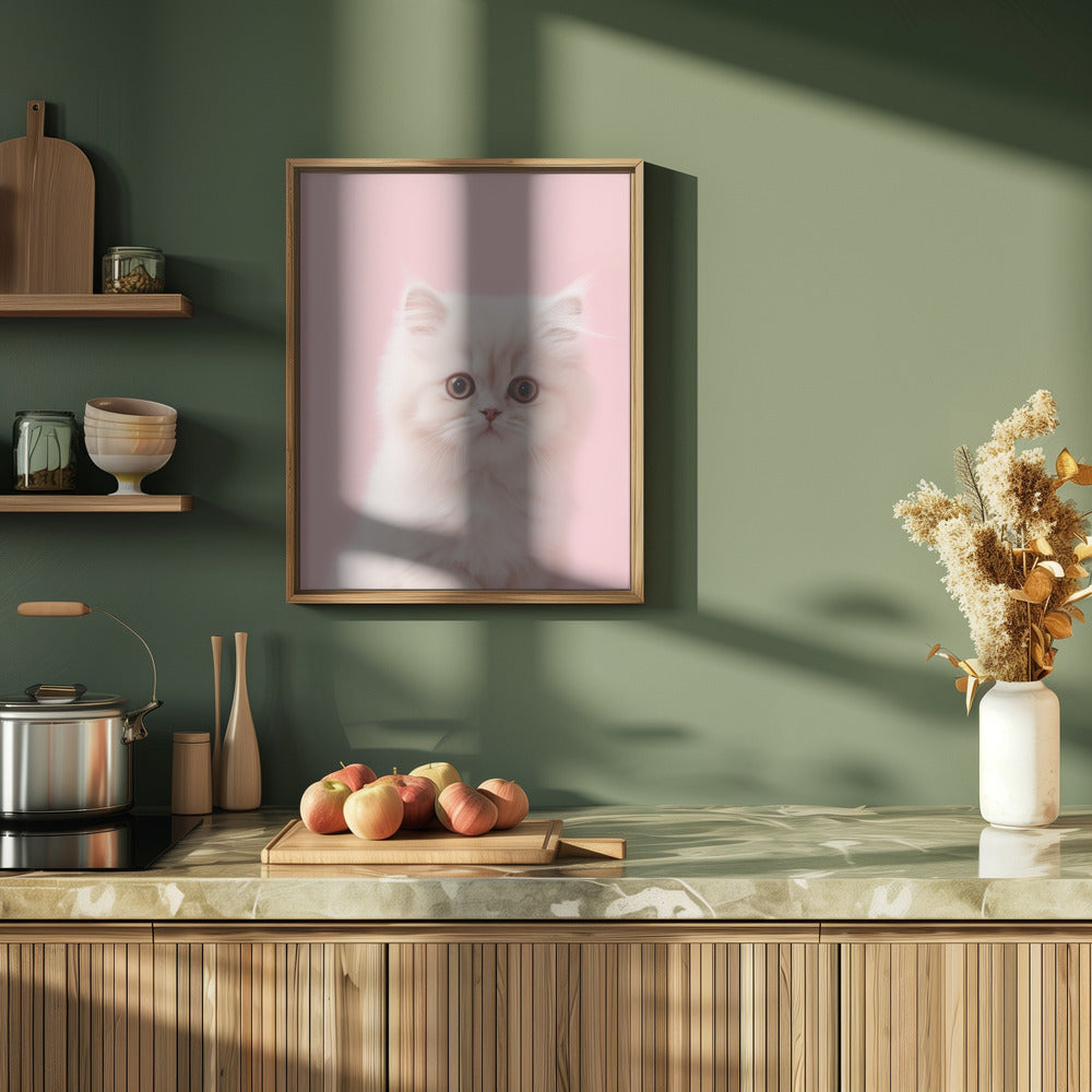 Kitty 4 - Stretched Canvas, Poster or Fine Art Print I Heart Wall Art