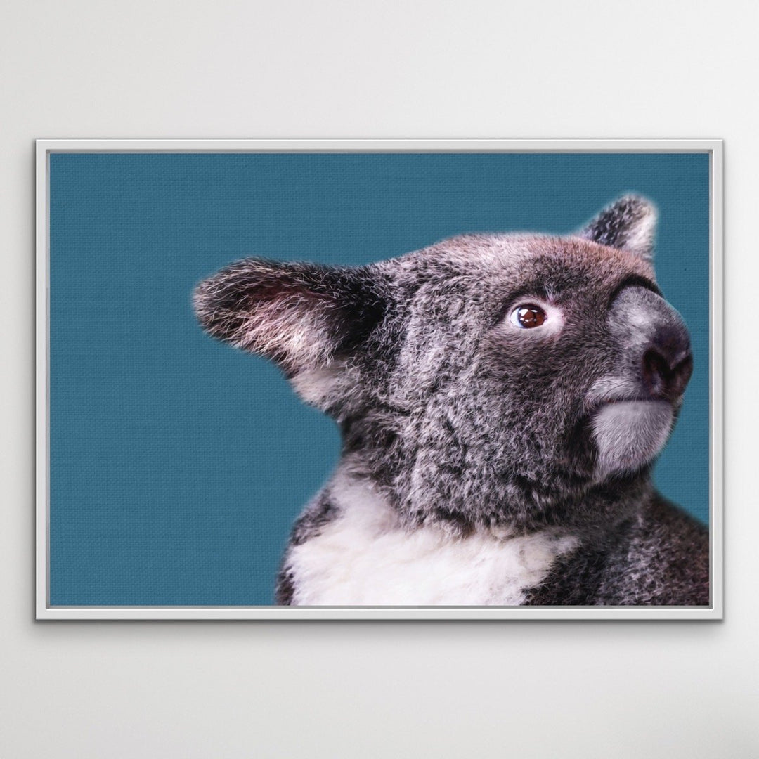 Koala Blue - Koala On Blue Linen Background Stretched Canvas or Art Print - I Heart Wall Art