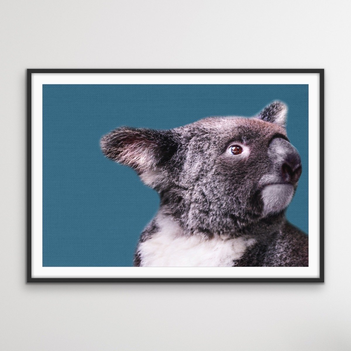 Koala Blue - Koala On Blue Linen Background Stretched Canvas or Art Print - I Heart Wall Art