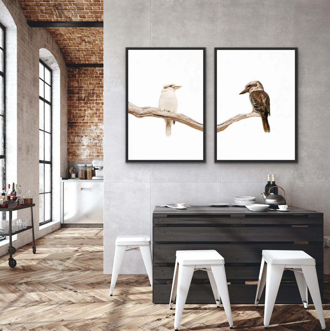 Kookaburra Pair - Two Piece Kookaburra Photographic Print Set on White Diptych - I Heart Wall Art