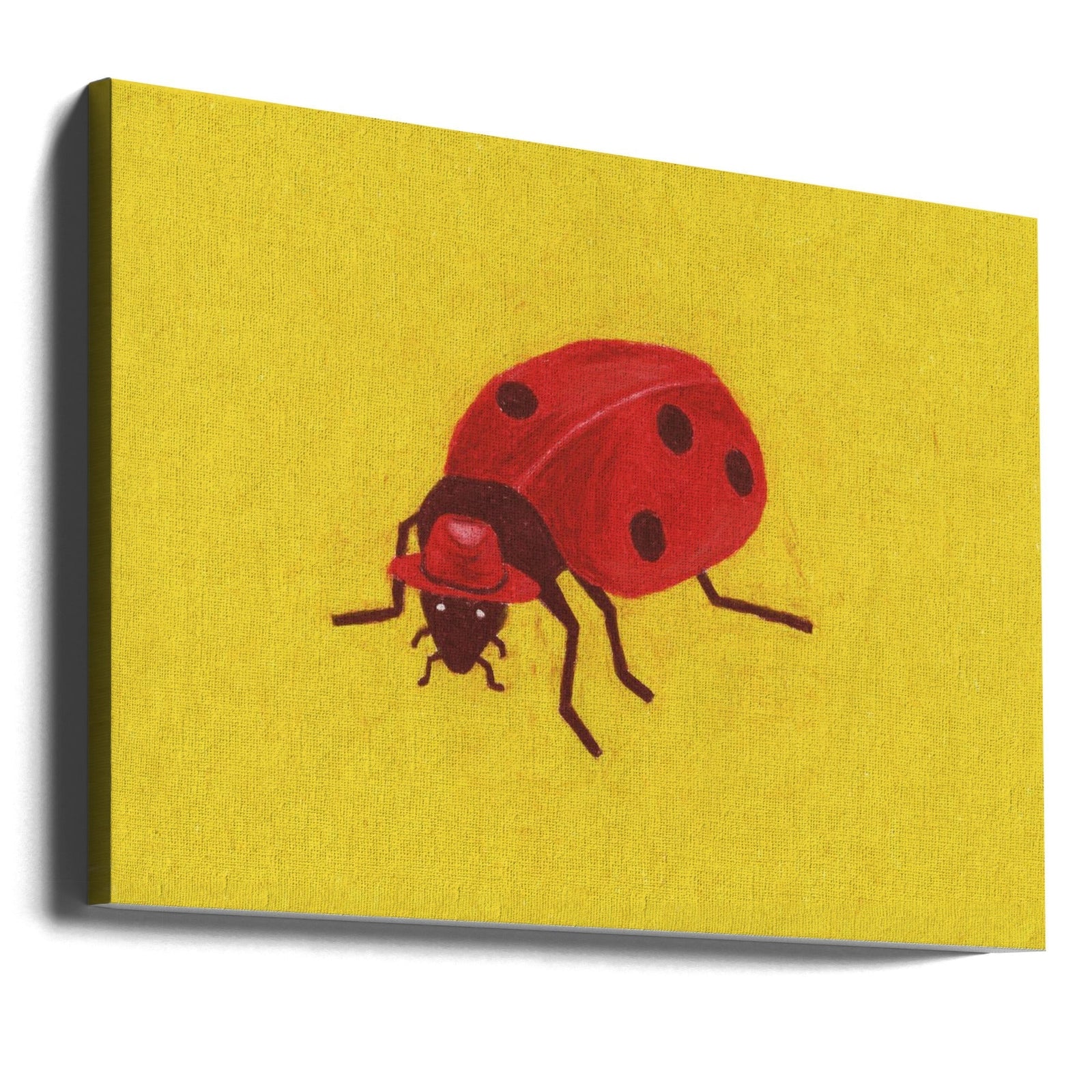 Ladybird - Stretched Canvas, Poster or Fine Art Print I Heart Wall Art
