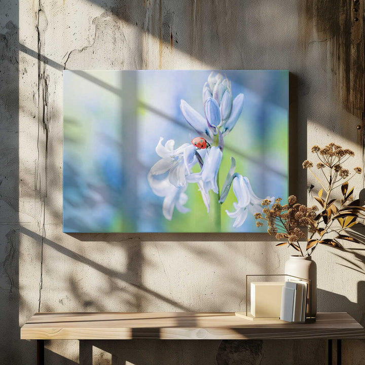 Ladybug on Bluebell - Floral Photographic Stretched Canvas Poster or Fine Art Print