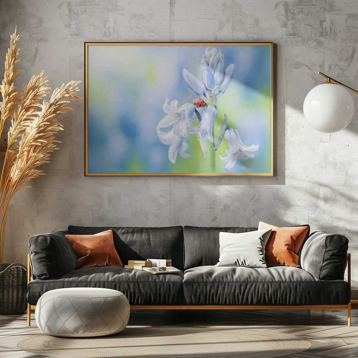 Ladybug on Bluebell - Floral Photographic Stretched Canvas Poster or Fine Art Print