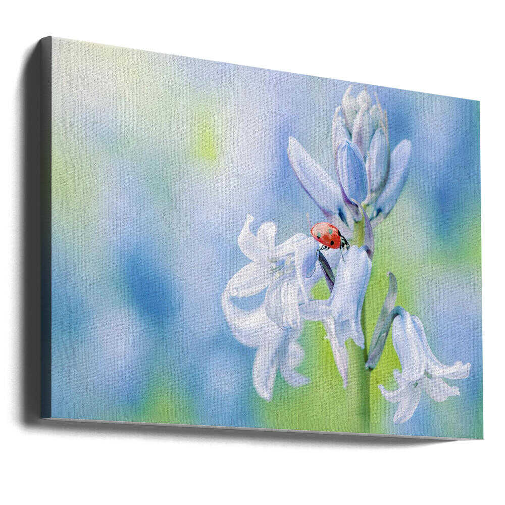 Ladybug on Bluebell - Floral Photographic Stretched Canvas Poster or Fine Art Print