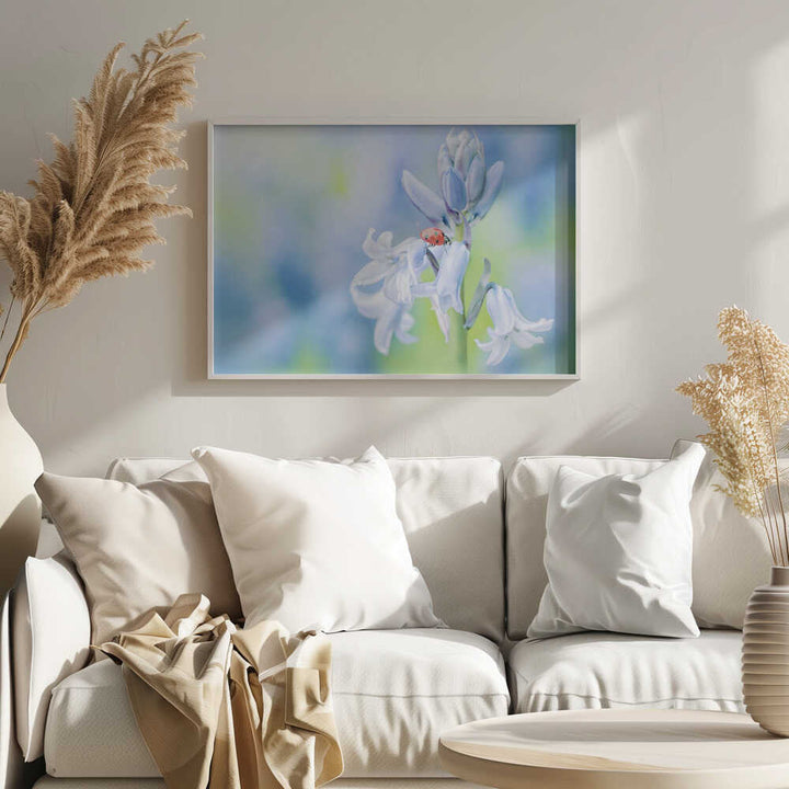 Ladybug on Bluebell - Floral Photographic Stretched Canvas Poster or Fine Art Print