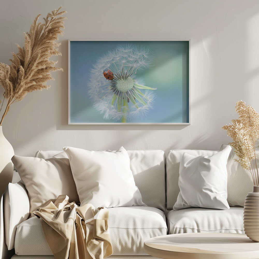 Ladybug on Dandelion - Floral Photographic Stretched Canvas Poster or Fine Art Print