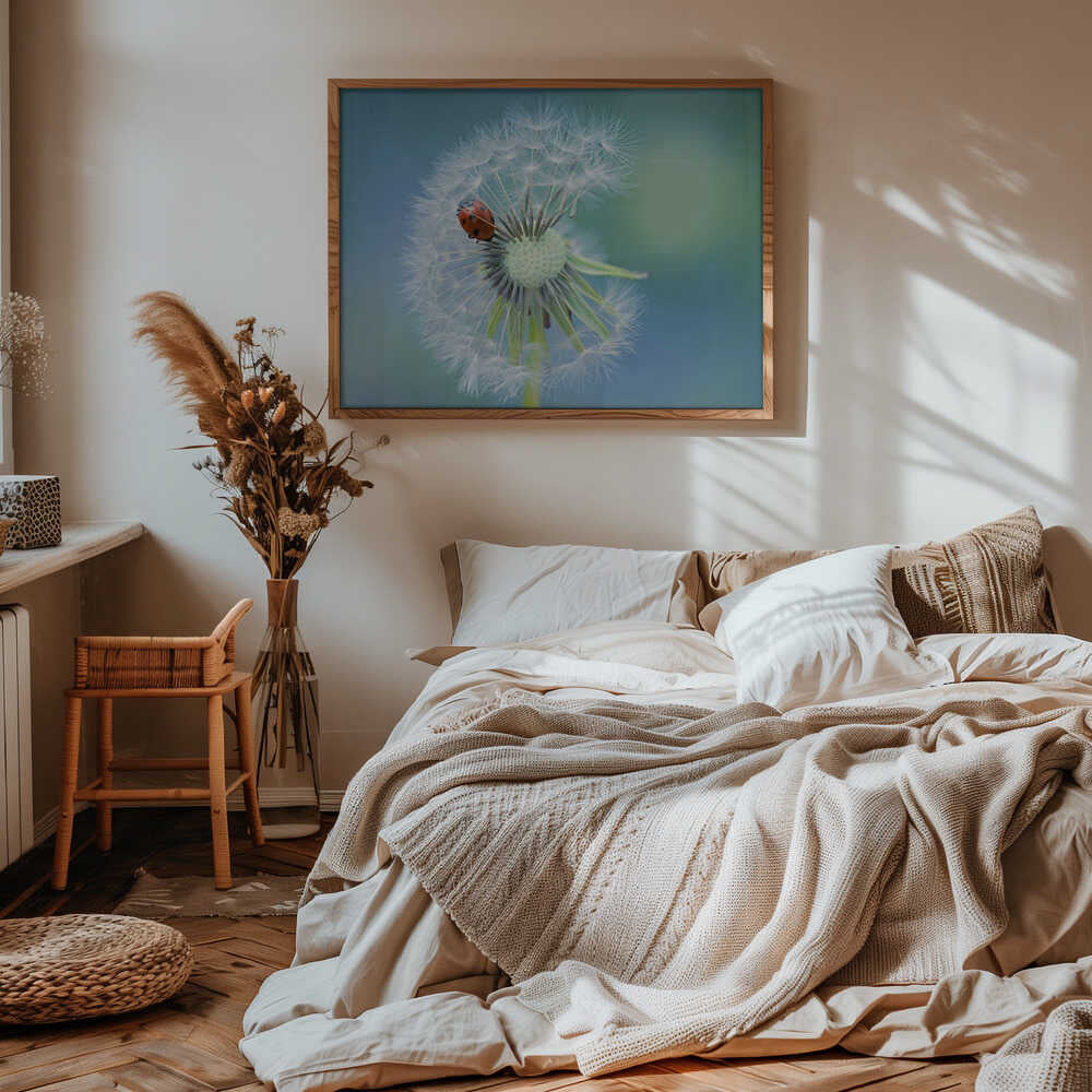 Ladybug on Dandelion - Floral Photographic Stretched Canvas Poster or Fine Art Print