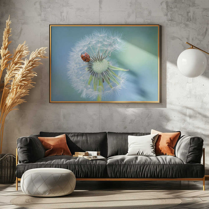Ladybug on Dandelion - Floral Photographic Stretched Canvas Poster or Fine Art Print