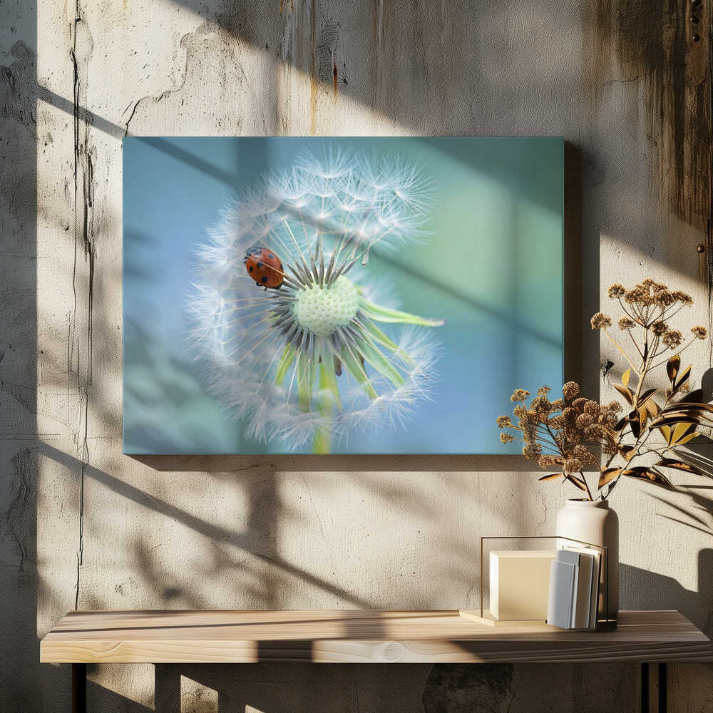 Ladybug on Dandelion - Floral Photographic Stretched Canvas Poster or Fine Art Print