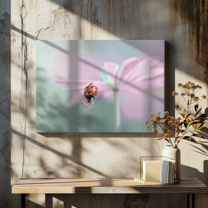 Ladybug on Pink Flower - Floral Photographic Stretched Canvas Poster or Fine Art Print