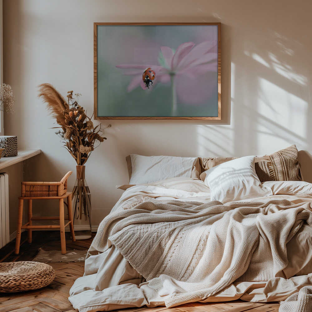 Ladybug on Pink Flower - Floral Photographic Stretched Canvas Poster or Fine Art Print