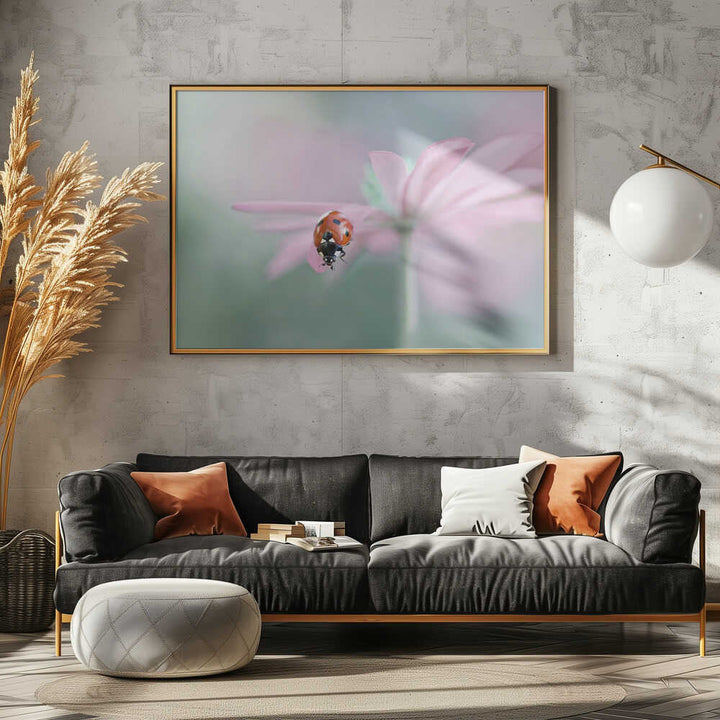 Ladybug on Pink Flower - Floral Photographic Stretched Canvas Poster or Fine Art Print
