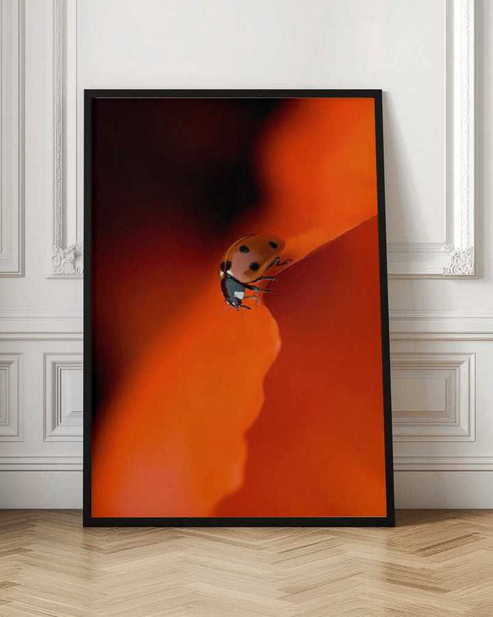 Ladybug on Red Petal - Stretched Canvas Poster or Fine Art Print