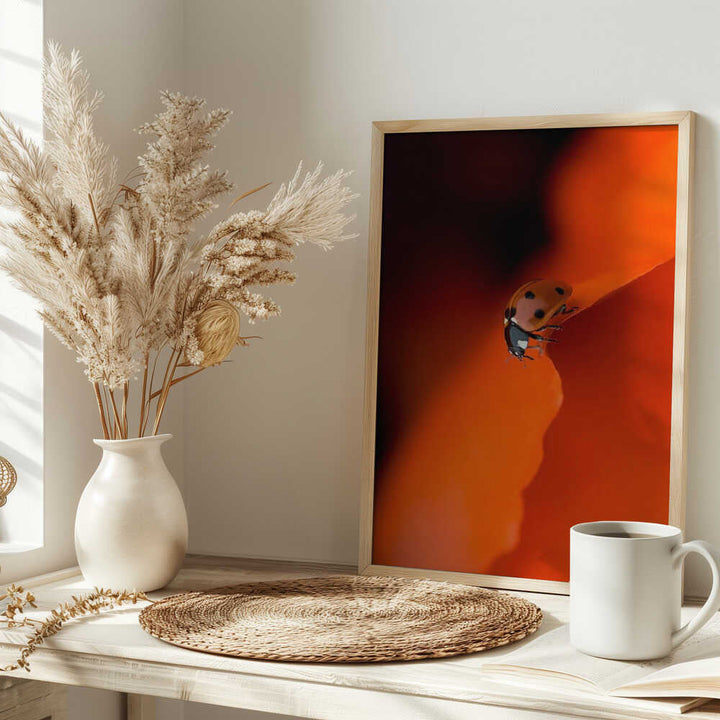 Ladybug on Red Petal - Stretched Canvas Poster or Fine Art Print