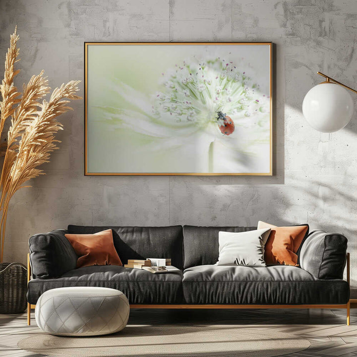 Ladybug on Soft Bloom - Floral Photographic Stretched Canvas Poster or Fine Art Print