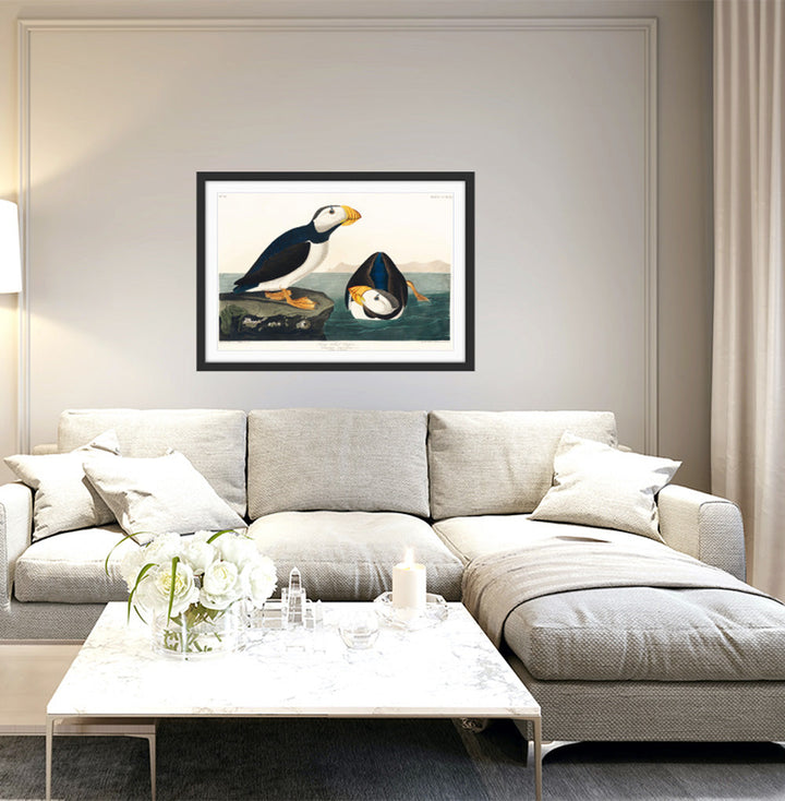 Large-billed Puffin (1827) by John James Audubon - American Natural History Stretched Canvas or Fine Art Print