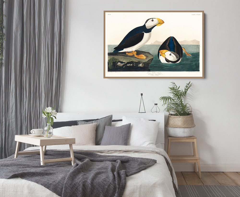 Large-billed Puffin (1827) by John James Audubon - American Natural History Stretched Canvas or Fine Art Print