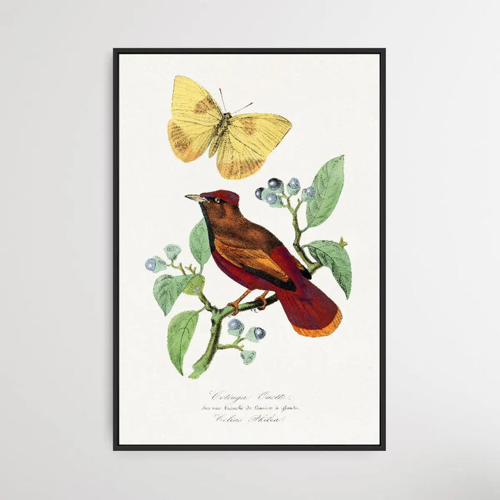 Larks Bird by Paul Gervais - I Heart Wall Art