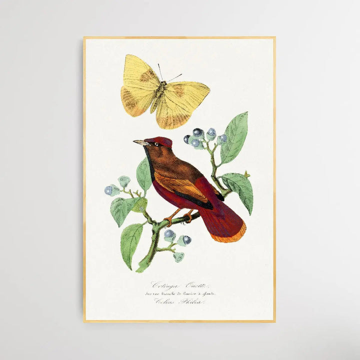 Larks Bird by Paul Gervais - I Heart Wall Art