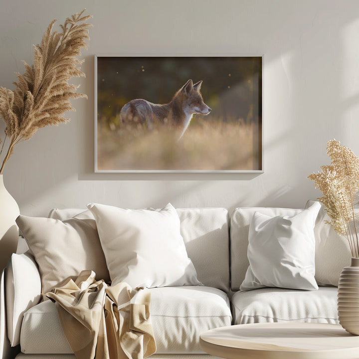 Last Light Fox - Stretched Canvas, Poster or Fine Art Print I Heart Wall Art
