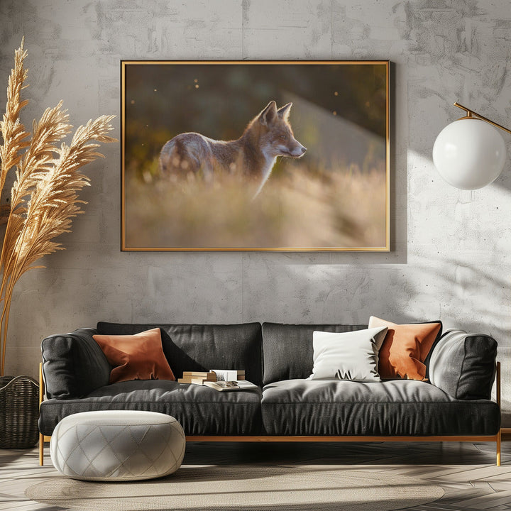 Last Light Fox - Stretched Canvas, Poster or Fine Art Print I Heart Wall Art