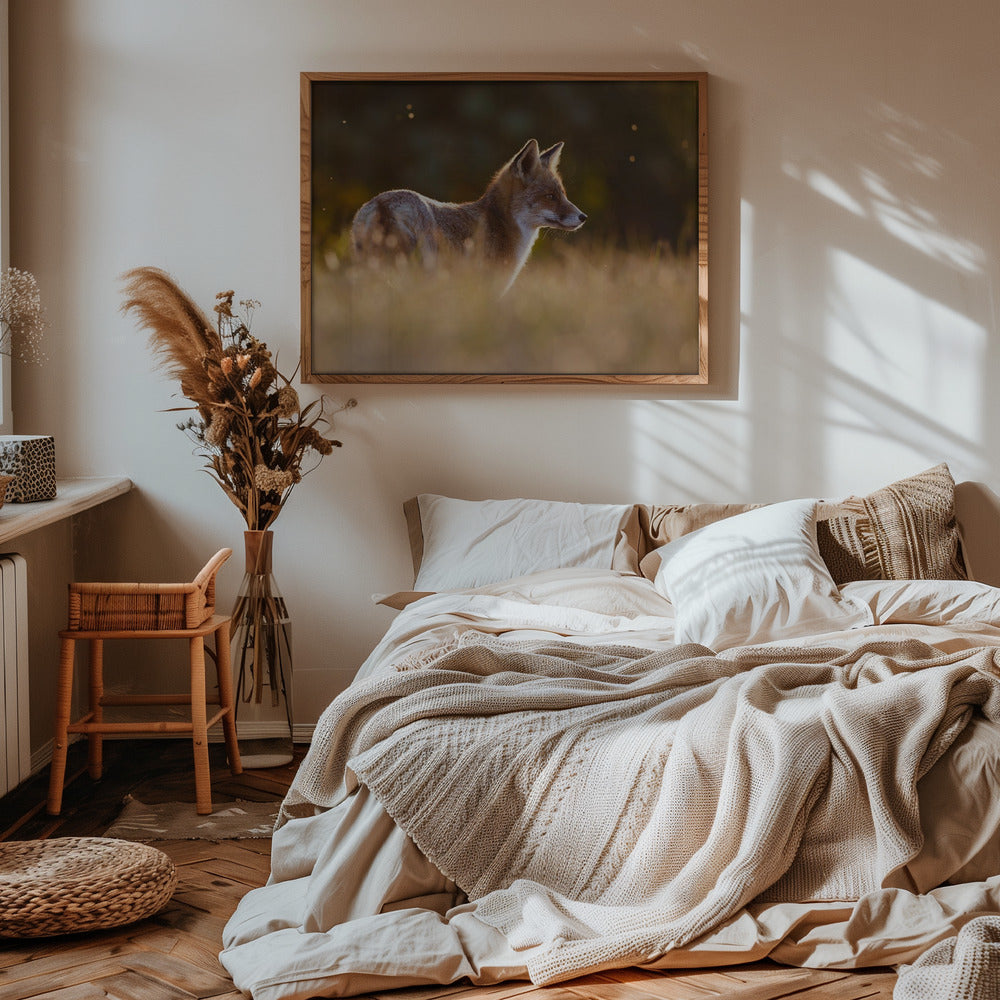 Last Light Fox - Stretched Canvas, Poster or Fine Art Print I Heart Wall Art