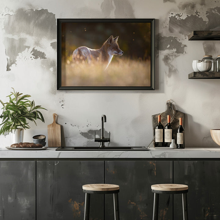 Last Light Fox - Stretched Canvas, Poster or Fine Art Print I Heart Wall Art