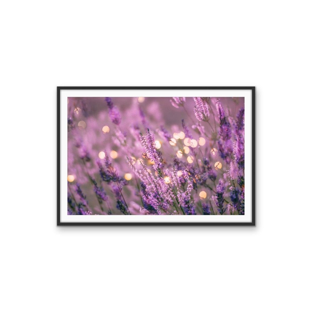 Lavender in the Lights - Bright Purple Whimsical Stretched Canvas or Wall Art Print - I Heart Wall Art - Poster Print, Canvas Print or Framed Art Print