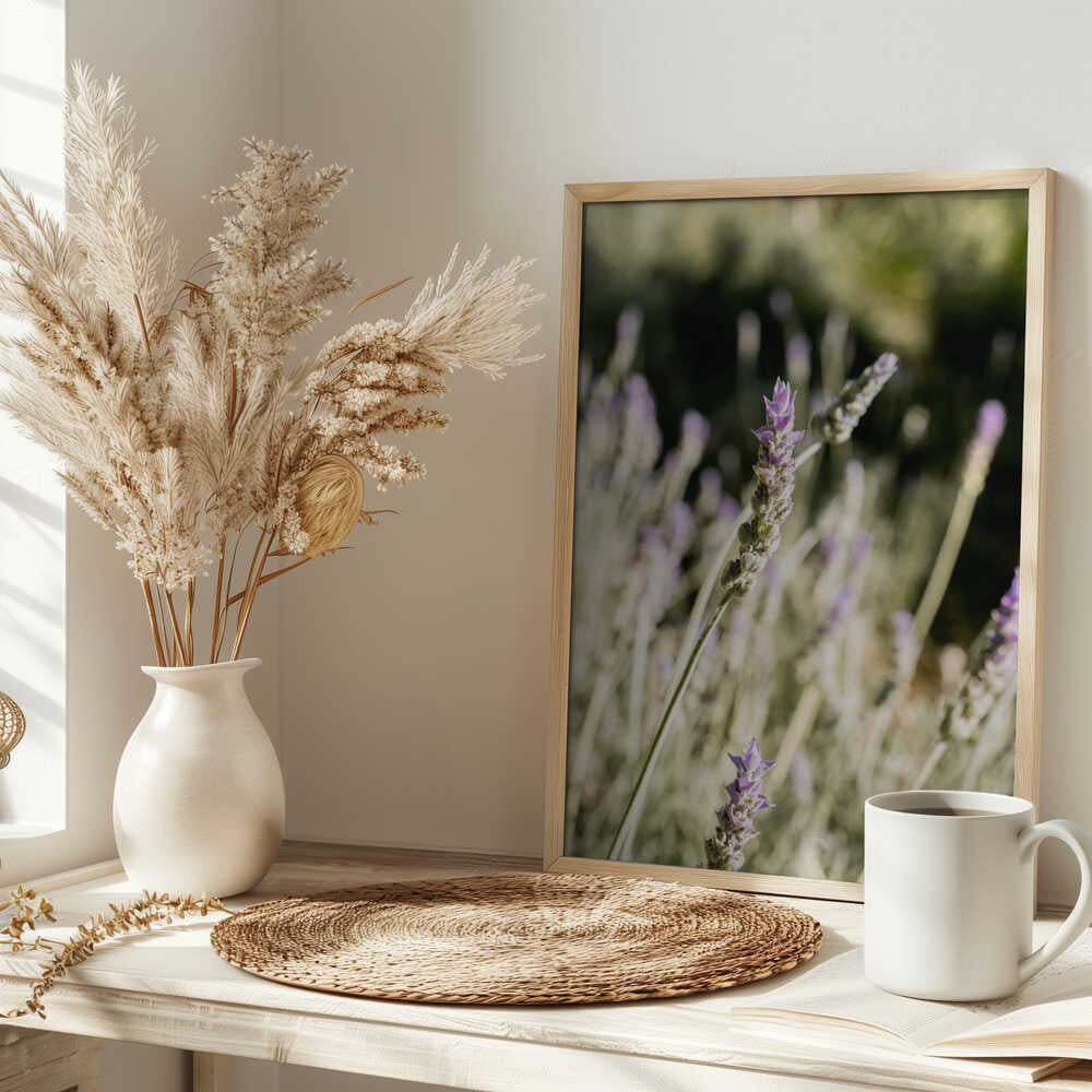 Lavender - Stretched Canvas, Poster or Fine Art Print - I Heart Wall Art - Poster Print, Canvas Print or Framed Art Print