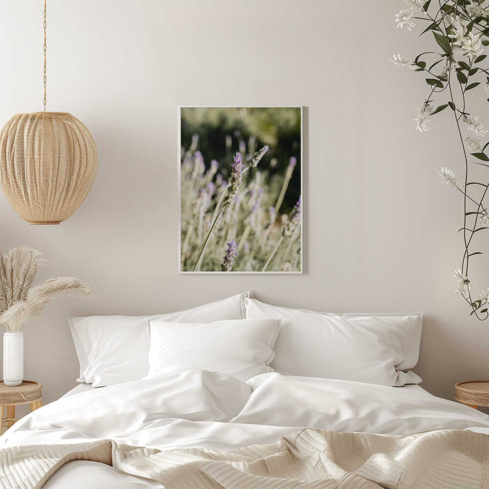 Lavender - Stretched Canvas, Poster or Fine Art Print - I Heart Wall Art - Poster Print, Canvas Print or Framed Art Print