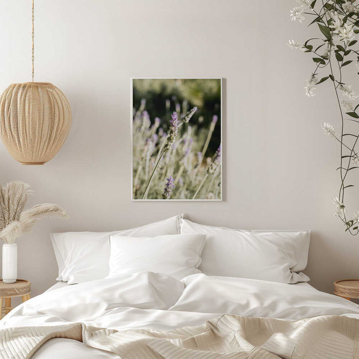 Lavender - Stretched Canvas, Poster or Fine Art Print - I Heart Wall Art - Poster Print, Canvas Print or Framed Art Print